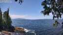 ./images/koeye/fitz-hugh/20250620/fitz-hugh20250620_132009M.jpg