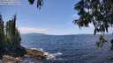 ./images/koeye/fitz-hugh/20250620/fitz-hugh20250620_132512M.jpg