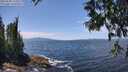 ./images/koeye/fitz-hugh/20250620/fitz-hugh20250620_133012M.jpg