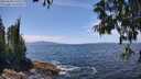 ./images/koeye/fitz-hugh/20250620/fitz-hugh20250620_133511M.jpg