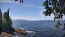 ./images/koeye/fitz-hugh/20250620/fitz-hugh20250620_134011M.jpg