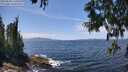 ./images/koeye/fitz-hugh/20250620/fitz-hugh20250620_134511M.jpg