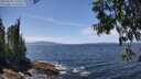 ./images/koeye/fitz-hugh/20250620/fitz-hugh20250620_135012M.jpg