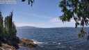 ./images/koeye/fitz-hugh/20250620/fitz-hugh20250620_135508M.jpg
