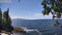 ./images/koeye/fitz-hugh/20250620/fitz-hugh20250620_140012M.jpg
