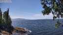 ./images/koeye/fitz-hugh/20250620/fitz-hugh20250620_140512M.jpg