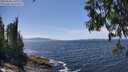 ./images/koeye/fitz-hugh/20250620/fitz-hugh20250620_141009M.jpg