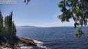 ./images/koeye/fitz-hugh/20250620/fitz-hugh20250620_143012M.jpg