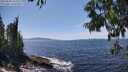 ./images/koeye/fitz-hugh/20250620/fitz-hugh20250620_143511M.jpg