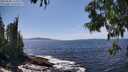 ./images/koeye/fitz-hugh/20250620/fitz-hugh20250620_144510M.jpg