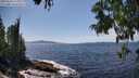 ./images/koeye/fitz-hugh/20250620/fitz-hugh20250620_145008M.jpg
