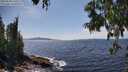 ./images/koeye/fitz-hugh/20250620/fitz-hugh20250620_150507M.jpg