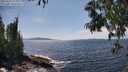 ./images/koeye/fitz-hugh/20250620/fitz-hugh20250620_151510M.jpg