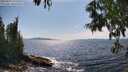 ./images/koeye/fitz-hugh/20250620/fitz-hugh20250620_155510M.jpg