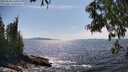 ./images/koeye/fitz-hugh/20250620/fitz-hugh20250620_160012M.jpg