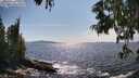 ./images/koeye/fitz-hugh/20250620/fitz-hugh20250620_162512M.jpg