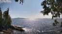 ./images/koeye/fitz-hugh/20250620/fitz-hugh20250620_163013M.jpg