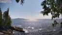 ./images/koeye/fitz-hugh/20250620/fitz-hugh20250620_163514M.jpg