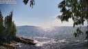 ./images/koeye/fitz-hugh/20250620/fitz-hugh20250620_164011M.jpg