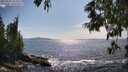 ./images/koeye/fitz-hugh/20250620/fitz-hugh20250620_164510M.jpg