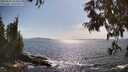./images/koeye/fitz-hugh/20250620/fitz-hugh20250620_165011M.jpg