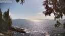 ./images/koeye/fitz-hugh/20250620/fitz-hugh20250620_165510M.jpg