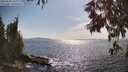./images/koeye/fitz-hugh/20250620/fitz-hugh20250620_170011M.jpg