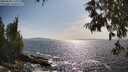 ./images/koeye/fitz-hugh/20250620/fitz-hugh20250620_171009M.jpg