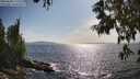 ./images/koeye/fitz-hugh/20250620/fitz-hugh20250620_171510M.jpg