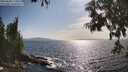 ./images/koeye/fitz-hugh/20250620/fitz-hugh20250620_173012M.jpg