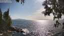 ./images/koeye/fitz-hugh/20250620/fitz-hugh20250620_173509M.jpg