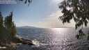 ./images/koeye/fitz-hugh/20250620/fitz-hugh20250620_174010M.jpg