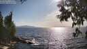 ./images/koeye/fitz-hugh/20250620/fitz-hugh20250620_174510M.jpg