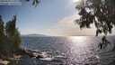 ./images/koeye/fitz-hugh/20250620/fitz-hugh20250620_175010M.jpg