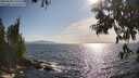 ./images/koeye/fitz-hugh/20250620/fitz-hugh20250620_175509M.jpg