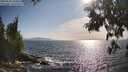 ./images/koeye/fitz-hugh/20250620/fitz-hugh20250620_180013M.jpg