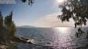 ./images/koeye/fitz-hugh/20250620/fitz-hugh20250620_180508M.jpg