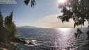 ./images/koeye/fitz-hugh/20250620/fitz-hugh20250620_181011M.jpg