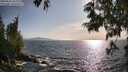 ./images/koeye/fitz-hugh/20250620/fitz-hugh20250620_182011M.jpg