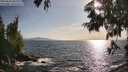 ./images/koeye/fitz-hugh/20250620/fitz-hugh20250620_183508M.jpg