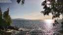 ./images/koeye/fitz-hugh/20250620/fitz-hugh20250620_184010M.jpg