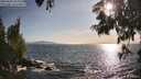 ./images/koeye/fitz-hugh/20250620/fitz-hugh20250620_184511M.jpg