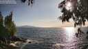 ./images/koeye/fitz-hugh/20250620/fitz-hugh20250620_185011M.jpg