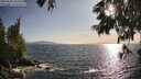 ./images/koeye/fitz-hugh/20250620/fitz-hugh20250620_185509M.jpg