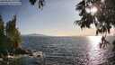 ./images/koeye/fitz-hugh/20250620/fitz-hugh20250620_191009M.jpg