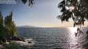 ./images/koeye/fitz-hugh/20250620/fitz-hugh20250620_191509M.jpg