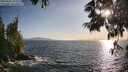./images/koeye/fitz-hugh/20250620/fitz-hugh20250620_192010M.jpg