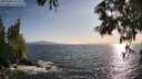 ./images/koeye/fitz-hugh/20250620/fitz-hugh20250620_192508M.jpg