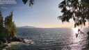 ./images/koeye/fitz-hugh/20250620/fitz-hugh20250620_193010M.jpg
