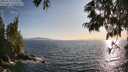 ./images/koeye/fitz-hugh/20250620/fitz-hugh20250620_193507M.jpg